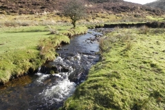 2. Downstream from confluence with Embercombe Water