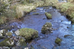 20. Waters joining from  from Little Hill  Combe