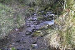 21. Waters joining from  from Little Hill  Combe