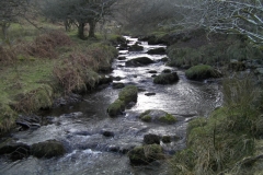 22. Looking upstream from Little Hill Combe Ford