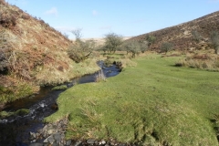 3. Downstream from confluence with Embercombe Water