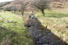 4. Downstream from confluence with Embercombe Water