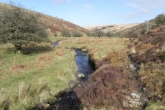 5. Downstream from confluence with Embercombe Water