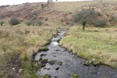 6. Downstream from confluence with Embercombe Water