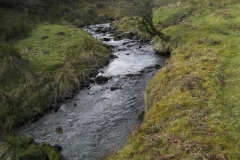 7. Downstream from confluence with Embercombe Water