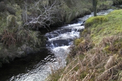 8. Downstream from confluence with Embercombe Water