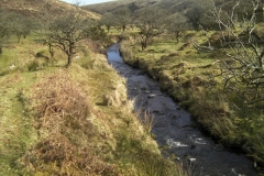9. Upstream from Thurley Combe