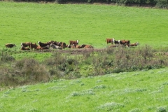 Source to Rodhuish