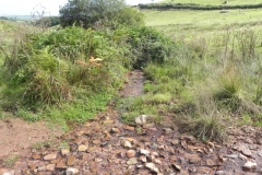18. Downstream from Moor Barn