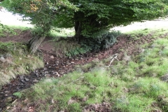 2. The early stream