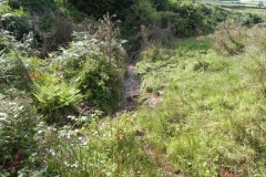 21. Downstream from Moor Barn