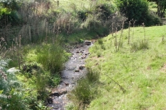 23. Downstream from Moor Barn