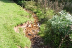 24. Downstream from Moor Barn