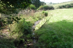 25. Downstream from Moor Barn