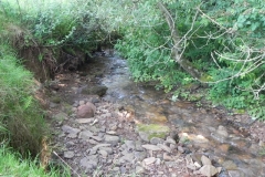 28. Upstream from Rodhuish