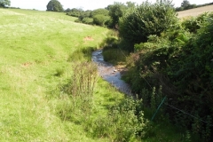 29. Upstream from Rodhuish