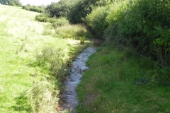 31. Upstream from Rodhuish