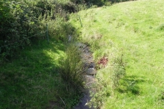 32. Upstream from Rodhuish