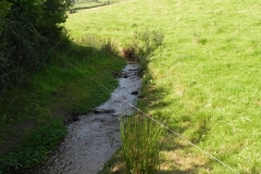 33. Upstream from Rodhuish