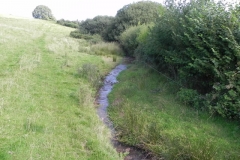 33a. Upstream from Rodhuish