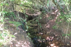 36. Upstream from Rodhuish