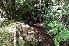 38. Upstream from Rodhuish