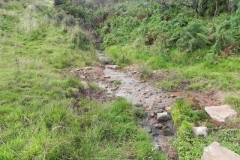 7. The early stream