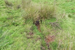 9. The early stream