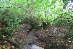 1.-Headstreams-running-to-Flaxpool-12