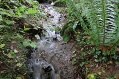 1.-Headstreams-running-to-Flaxpool-13