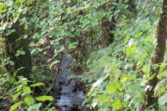 1.-Headstreams-running-to-Flaxpool-2