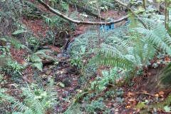 1.-Headstreams-running-to-Flaxpool-27