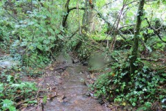 1.-Headstreams-running-to-Flaxpool-3