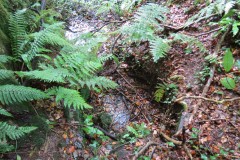 1.-Headstreams-running-to-Flaxpool-35
