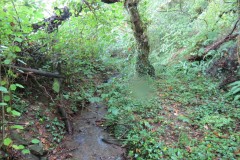 1.-Headstreams-running-to-Flaxpool-4