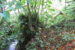 1.-Headstreams-running-to-Flaxpool-44