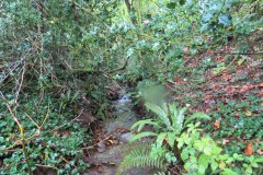 1.-Headstreams-running-to-Flaxpool-5