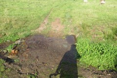 1.-Headstreams-running-to-Flaxpool-51