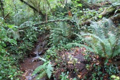 1.-Headstreams-running-to-Flaxpool-7