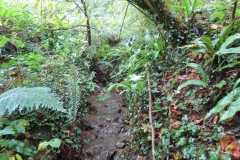 1.-Headstreams-running-to-Flaxpool-8