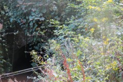 3.-Flaxpool-to-West-Somerset-Railway-Culvert-2