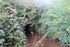 3.-Flaxpool-to-West-Somerset-Railway-Culvert-3