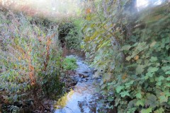 3.-Flaxpool-to-West-Somerset-Railway-Culvert-5
