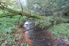 3.-Flaxpool-to-West-Somerset-Railway-Culvert-6