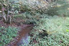 3.-Flaxpool-to-West-Somerset-Railway-Culvert-7