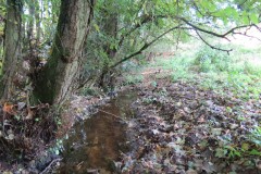 6.-Downstream-from-Roebuck-Crossing-1