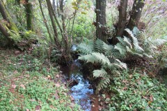 6.-Downstream-from-Roebuck-Crossing-10
