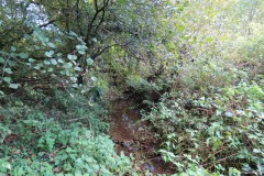 6.-Downstream-from-Roebuck-Crossing-11