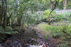 6.-Downstream-from-Roebuck-Crossing-12