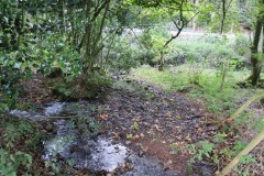 6.-Downstream-from-Roebuck-Crossing-13